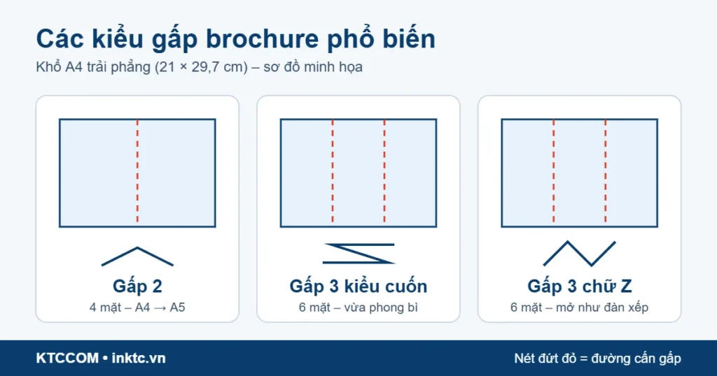 Sơ đồ minh họa các kiểu gấp brochure: gấp 2, gấp 3 kiểu cuốn và gấp 3 chữ Z
